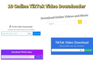 TikTok Video-Downloader